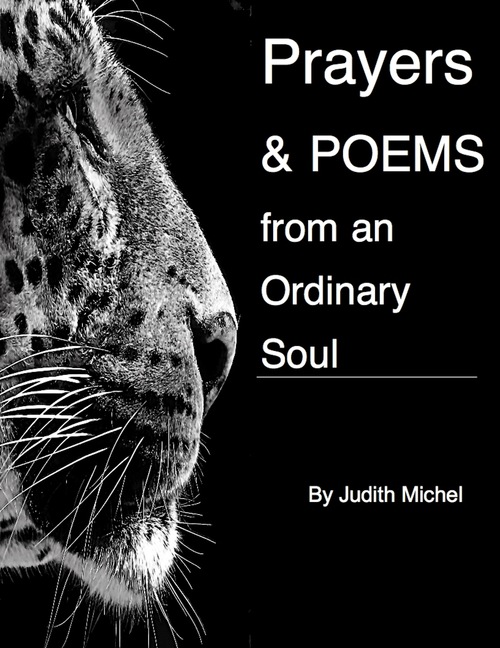 Product picture Prayers and Poems from an Ordinary Soul